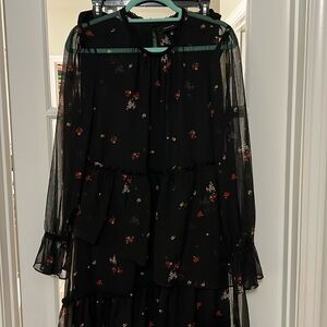 Sheer Black Dress with Complementary Slip